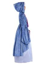 Premium Adult Fairy Godmother Costume Alt 6