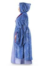 Plus Size Premium Fairy Godmother Costume Alt 4