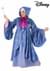 Plus Size Premium Fairy Godmother Costume Alt 2
