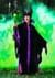 Plus Size Classic Maleficent Womens Costume Alt 1
