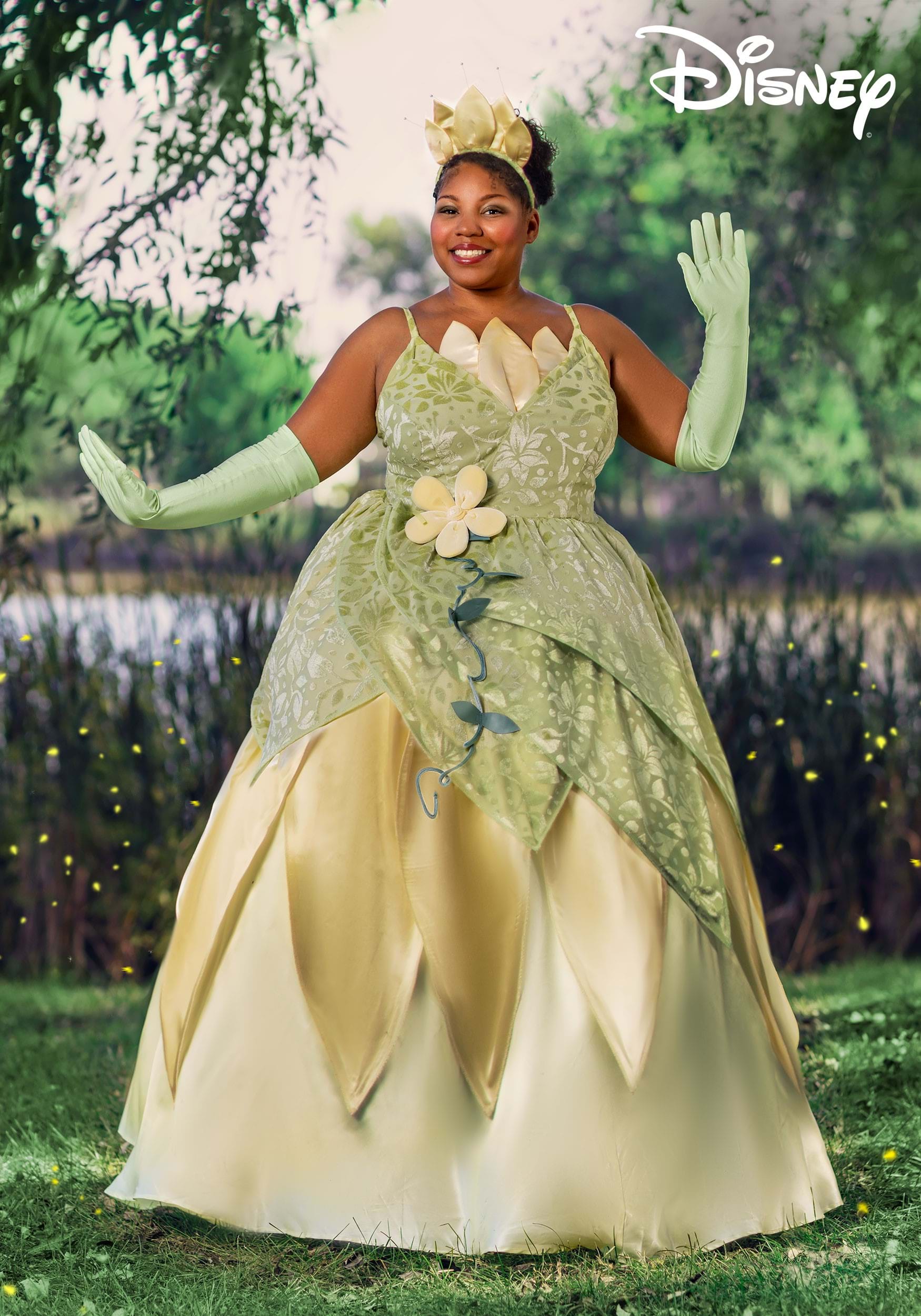 https://images.fun.com/products/74432/1-1/plus-size-deluxe-tiana-costume.jpg