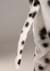 Adult Dalmatian Suit With Mouth Mover Mask Alt 9