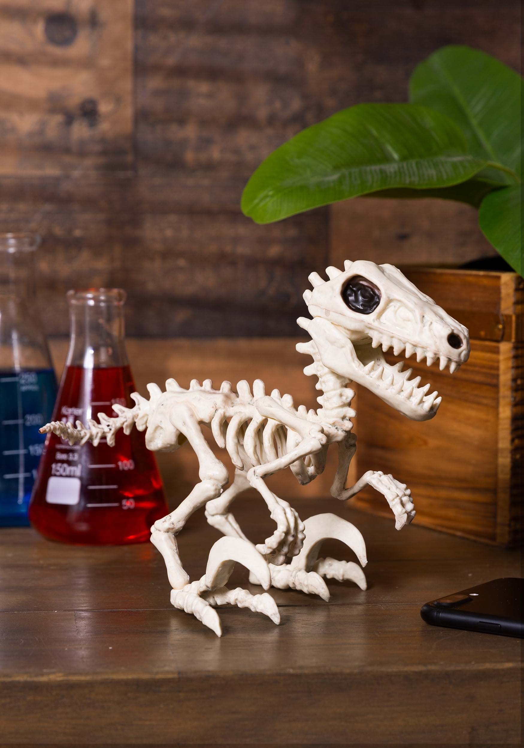 5.5-Inch Raptor Bonez Halloween Decoration , Animal Skeletons