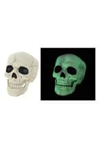 Glow in the Dark Decorative Skull Alt 2