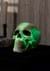 Glow in the Dark Decorative Skull Alt 1