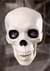 Life Sized Animated Hanging Skull Alt 1