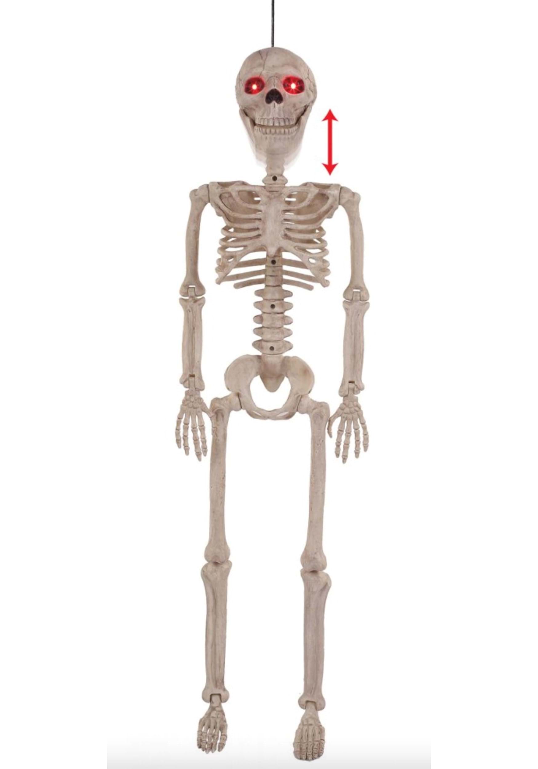 Junior Skeleton Crazy Bones