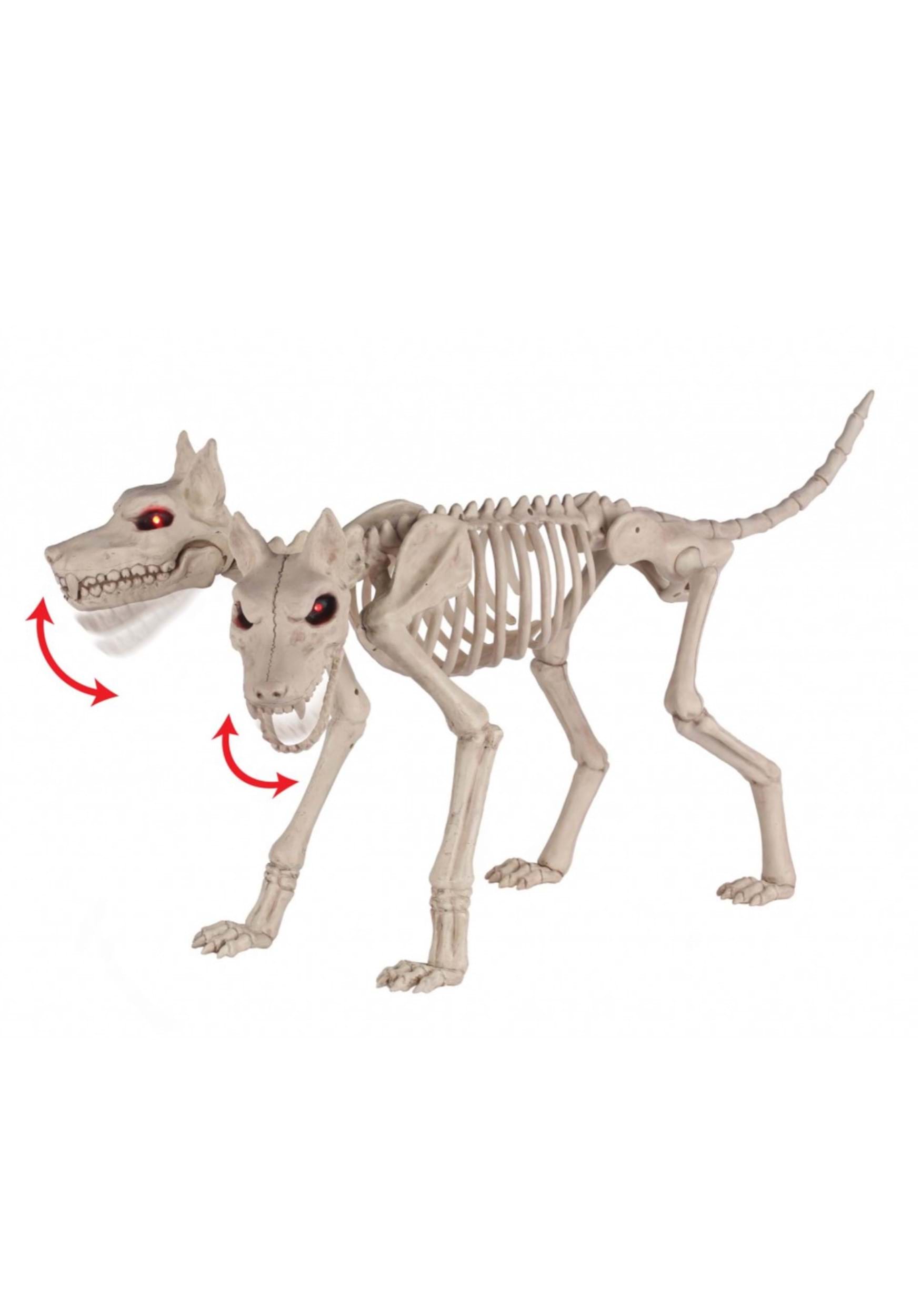 20-Inch Double Trouble Doberman Skeleton Dog Decoration | Animal Skeletons