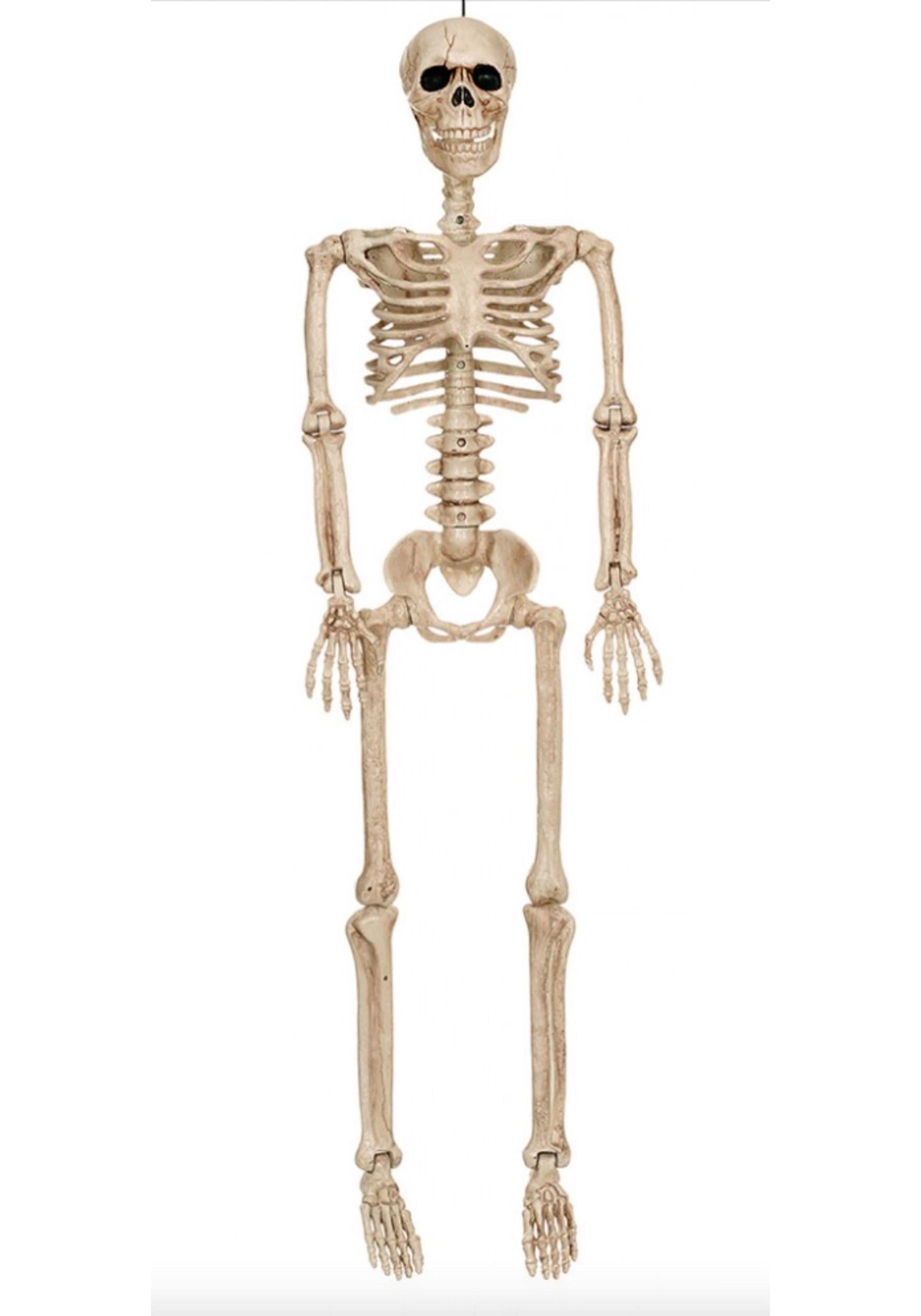 36-Inch Posable Skeleton | Skeleton Decoration
