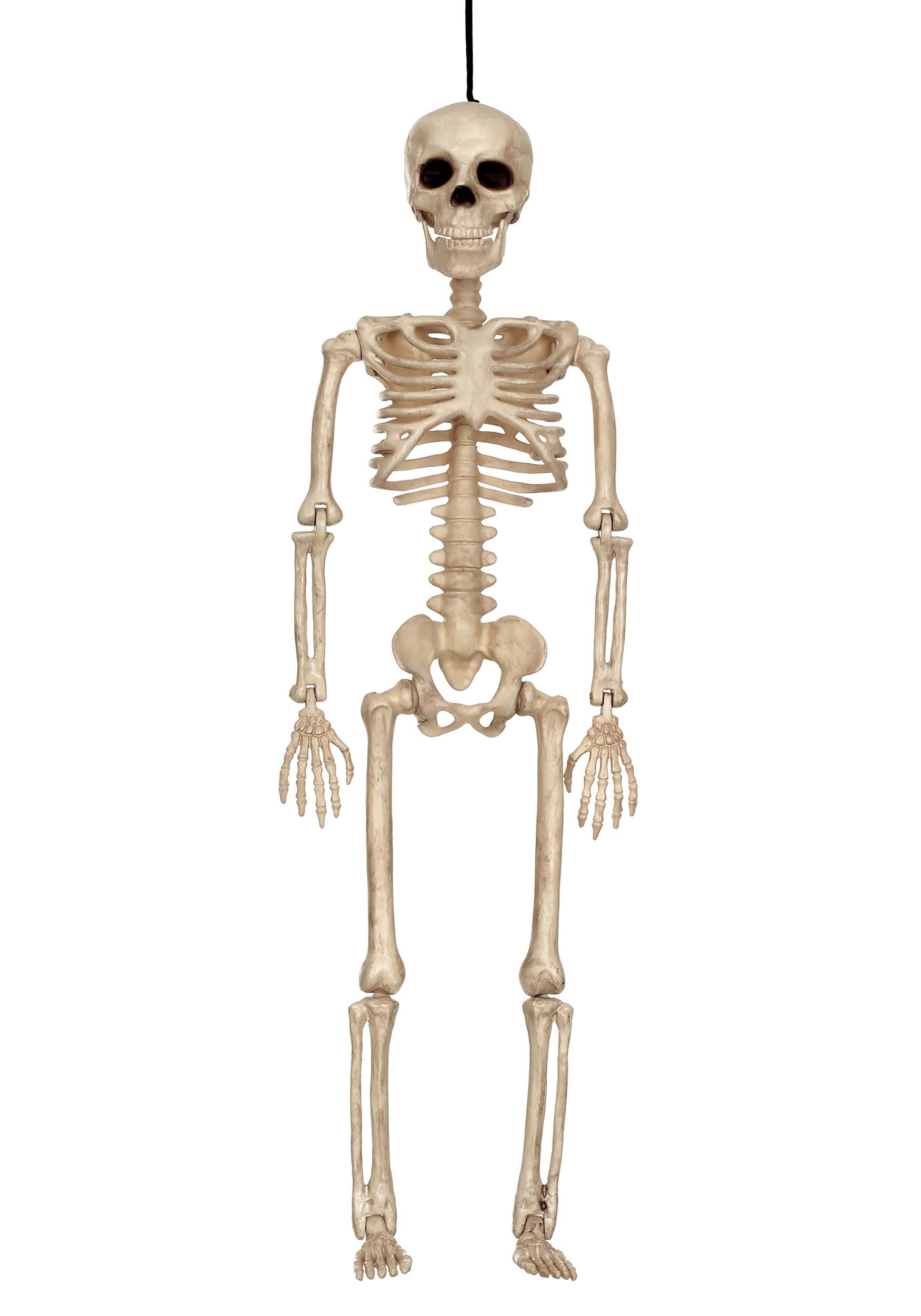 16 Inch  Skeleton Decoration