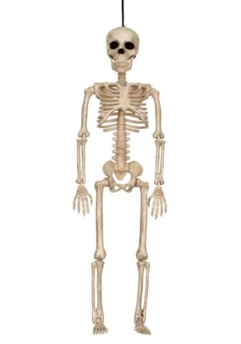 16 Inch Skeleton