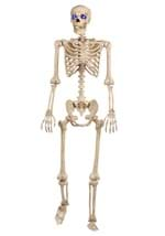 60 Inch Light Up Skeleton Prop Alt 2