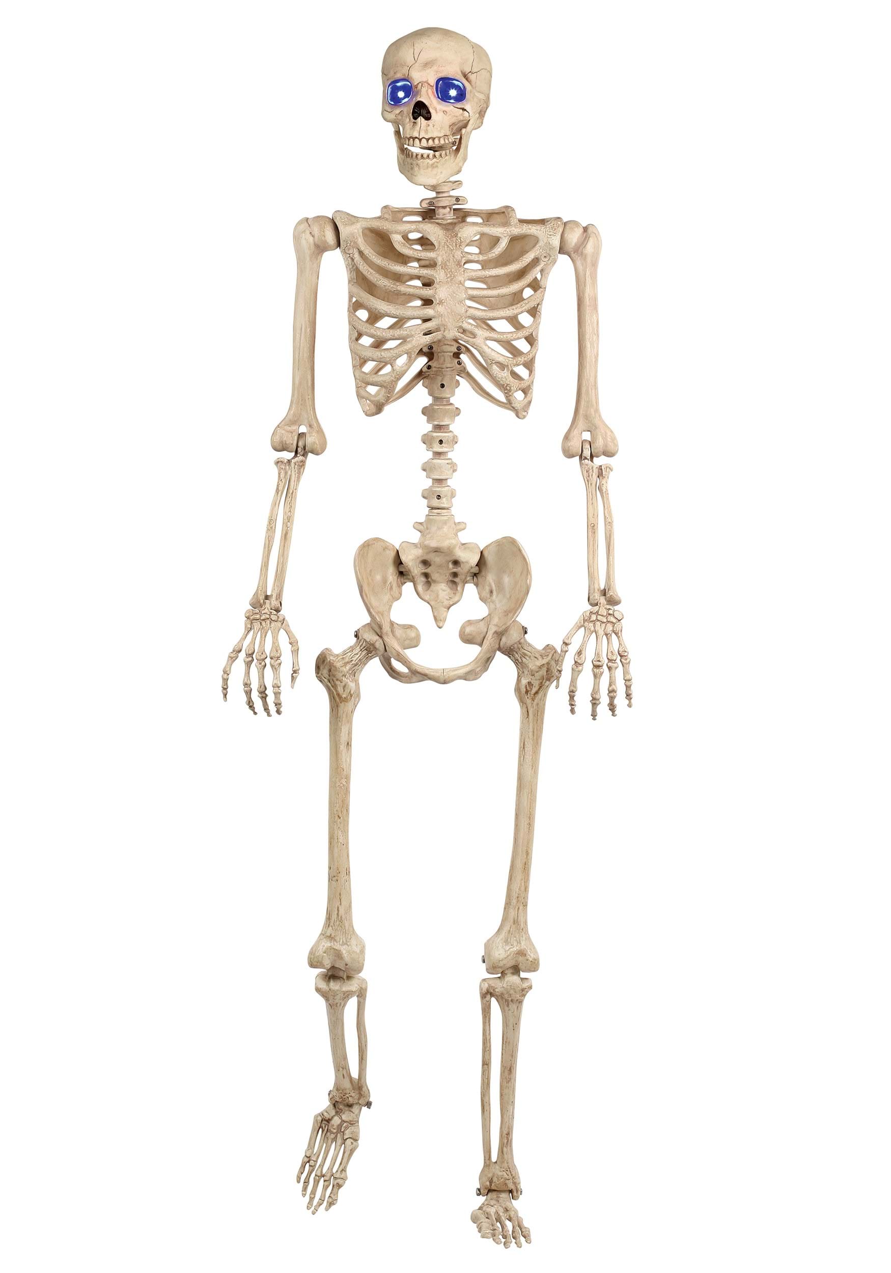Light Up 60 Inch Skeleton Prop | Skeleton Halloween Decorations