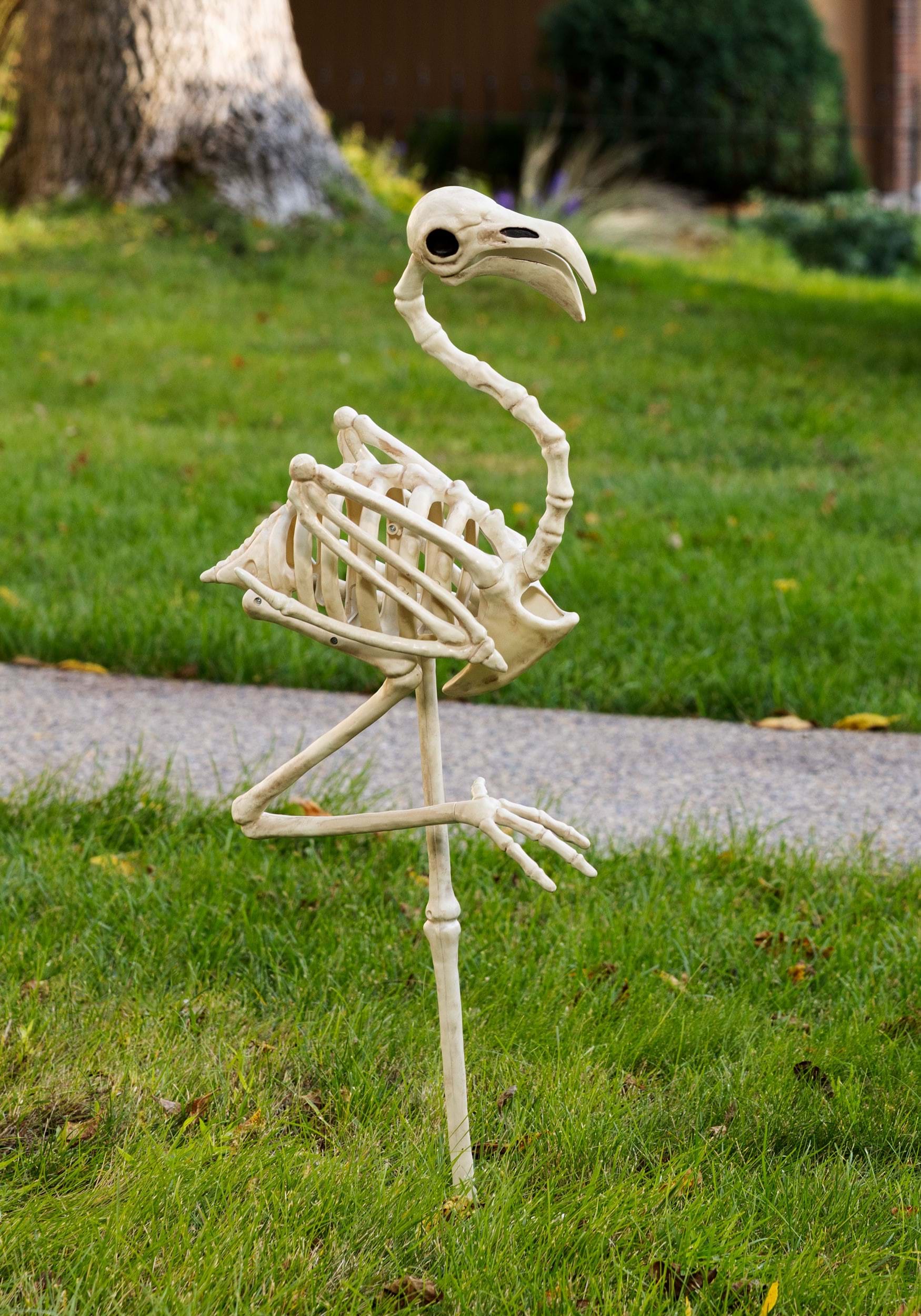 34.25 Inch Flamingo Skeleton