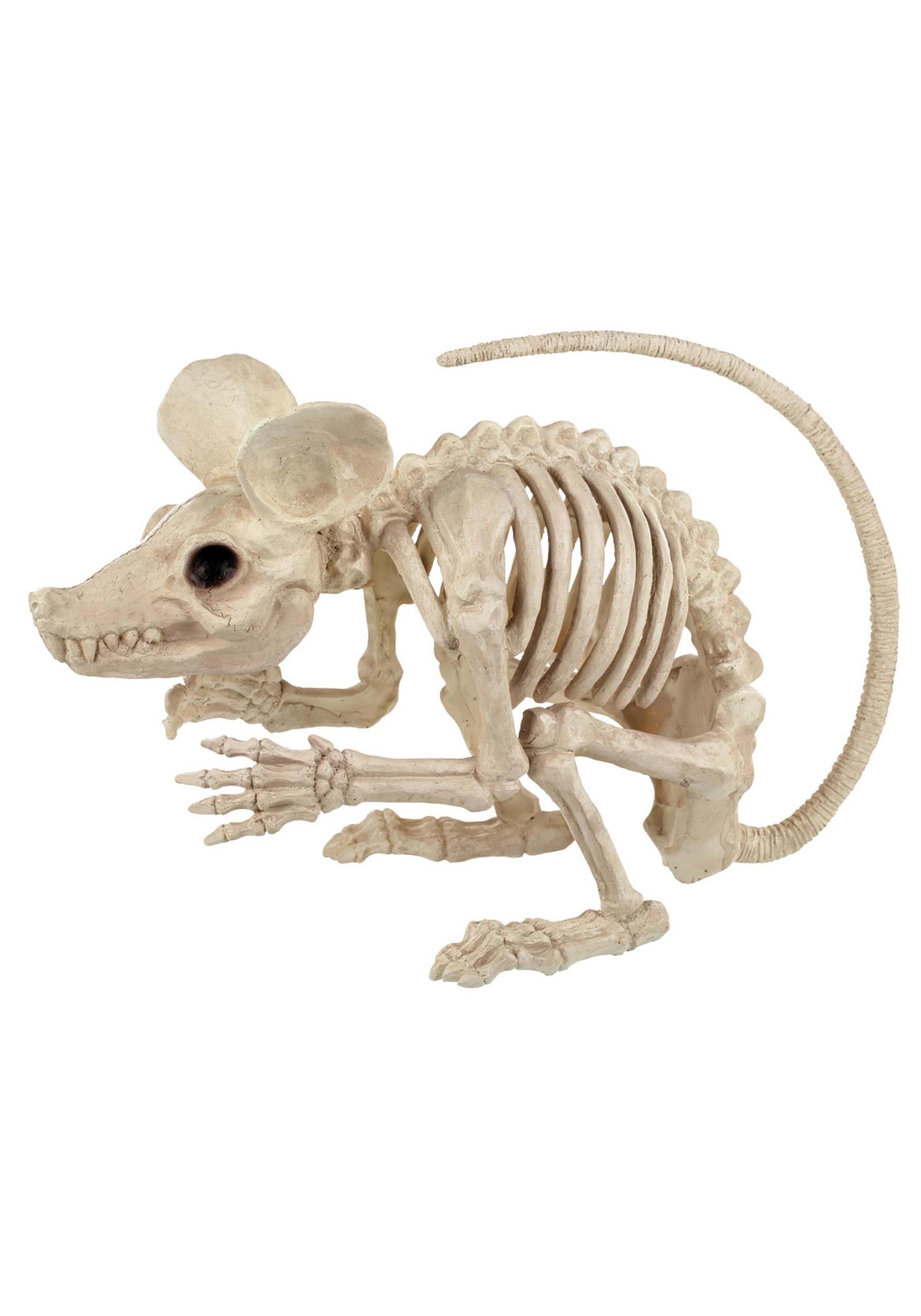 Attack Rat 19-Inch Skeleton Prop | Skeleton Decoration