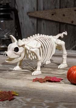 14.75 Inch Pig Skeleton
