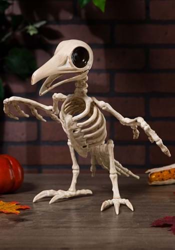 Creepy 10.5" Raven Skeleton