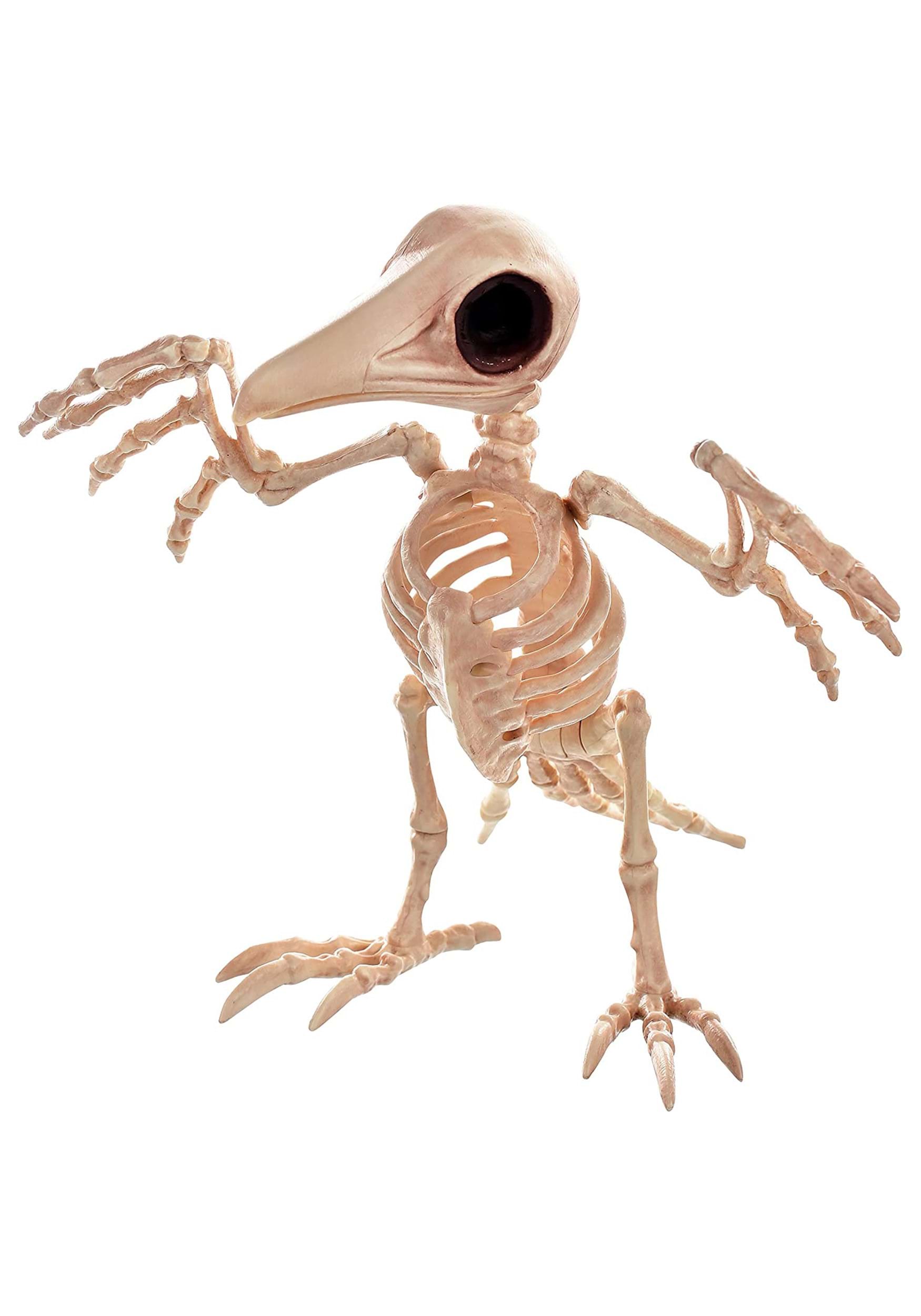 Creepy Raven Skeleton 10.5"