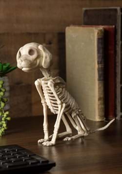 7 5 Inch Sitting Puppy Skeleton