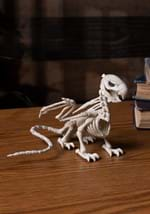 5.5 Inch Griffin Skeleton