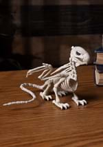 5.5" Griffin Skeleton Alt 1