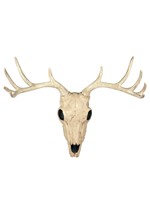 21" Buck Skull Alt 1