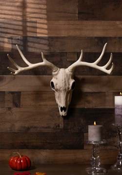 21" Decorative Buck Skull
