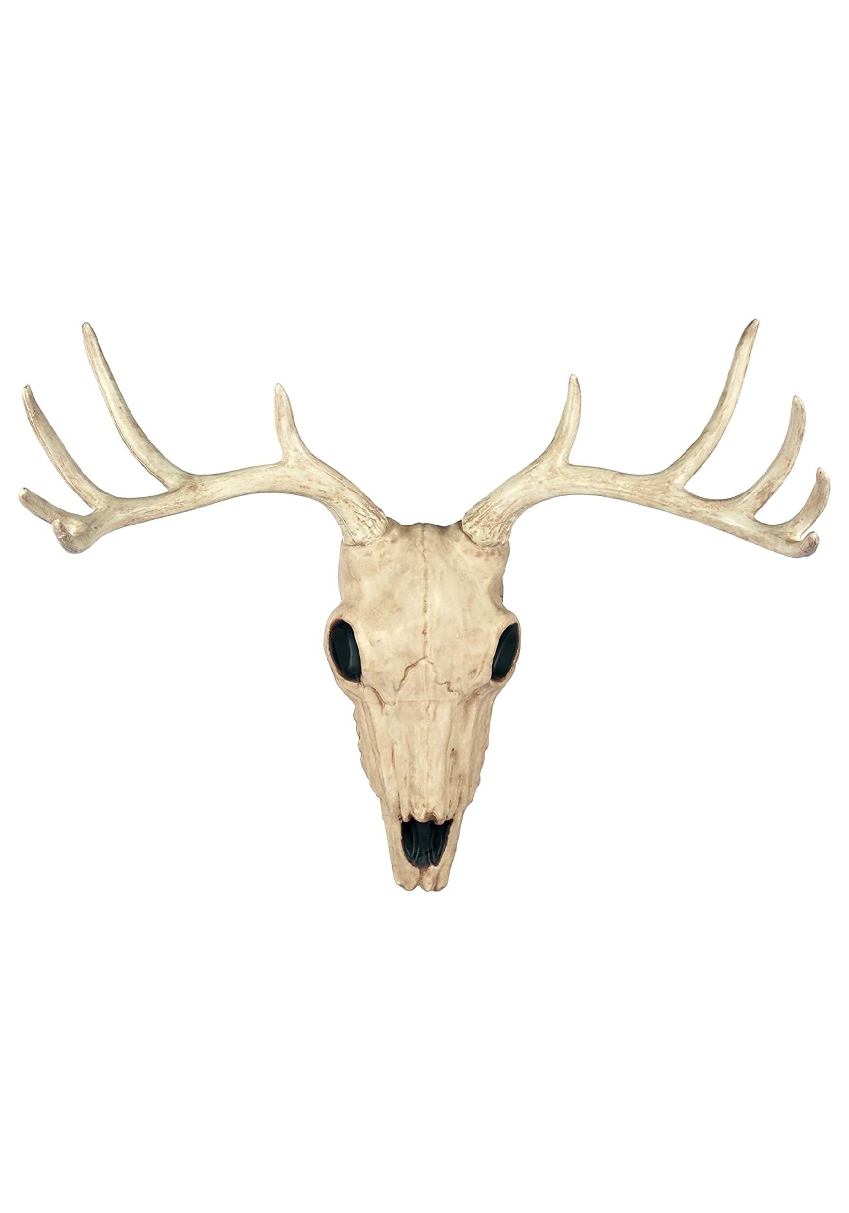 21" Horned Buck Skull Halloween Decoration | Animal Skeleton Decor