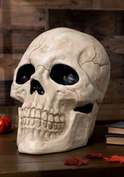 SFERA MAGICA 20CM COLORI LUCI E SUONO ARTICOLI DECORATIVI PER HALLOWEEN  ALLESTIMENTI VETRINE SALE FESTE E SCENE HORROR - Parole e Pensieri