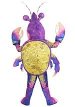 Toddler Tamatoa Costume Alt2