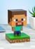 Minecraft Steve Icon Light Alt 3