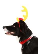 Dr. Seuss Grinch Max Dog Costume