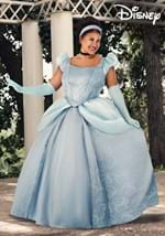 Plus Size Disney Premium Cinderella Costume Dress