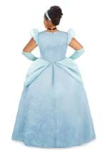 Plus Size Disney Premium Cinderella Costume Dress Alt 1