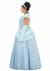 Plus Size Disney Premium Cinderella Costume Dress Alt 2