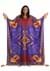 Adult Aladdin Magic Carpet Costume Alt4