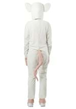 Adult Pinky and the Brain Brain Costume Alt1