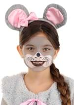 Mouse Makeup Kit Alt 3