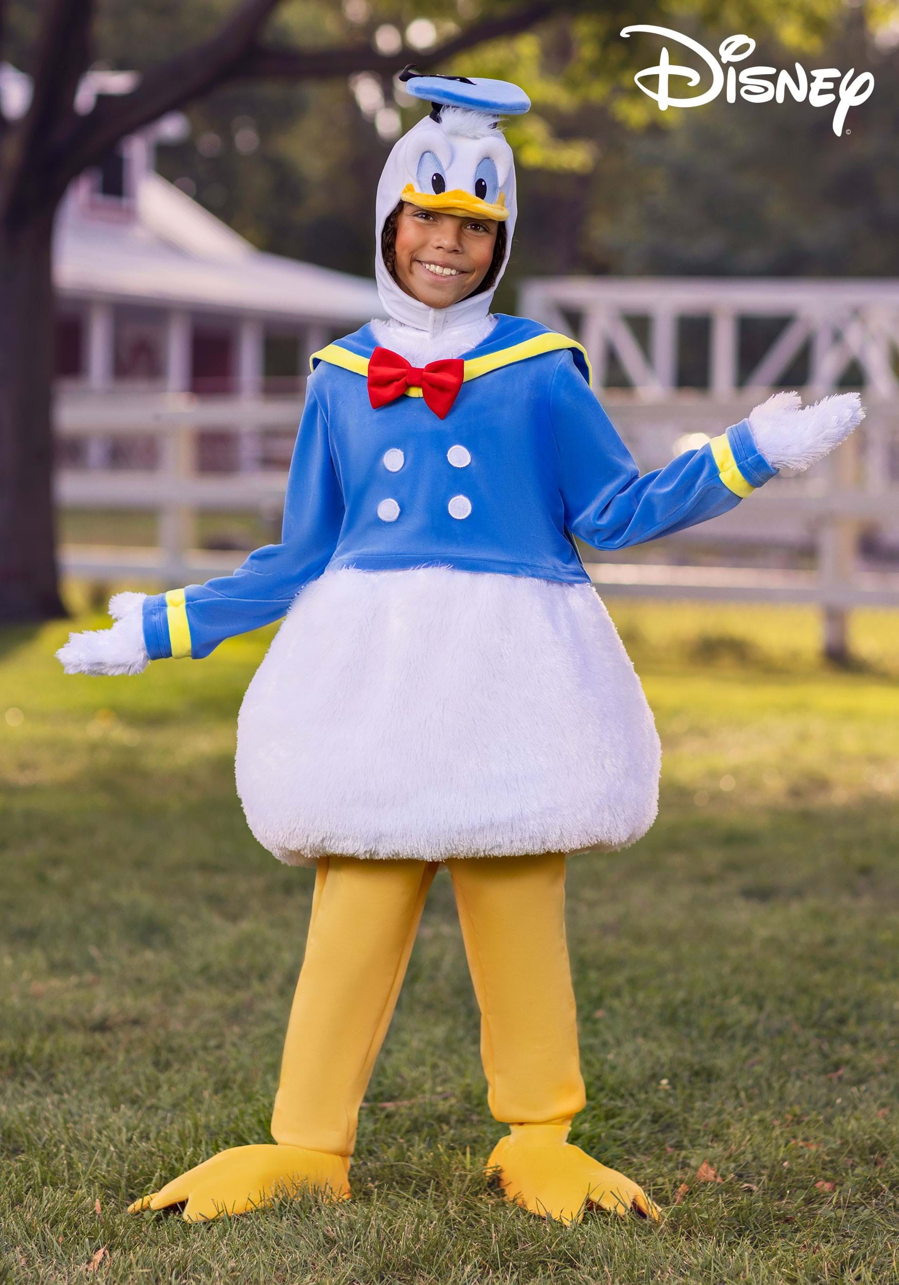 https://images.fun.com/products/76168/1-1/kids-donald-duck-costume.jpg