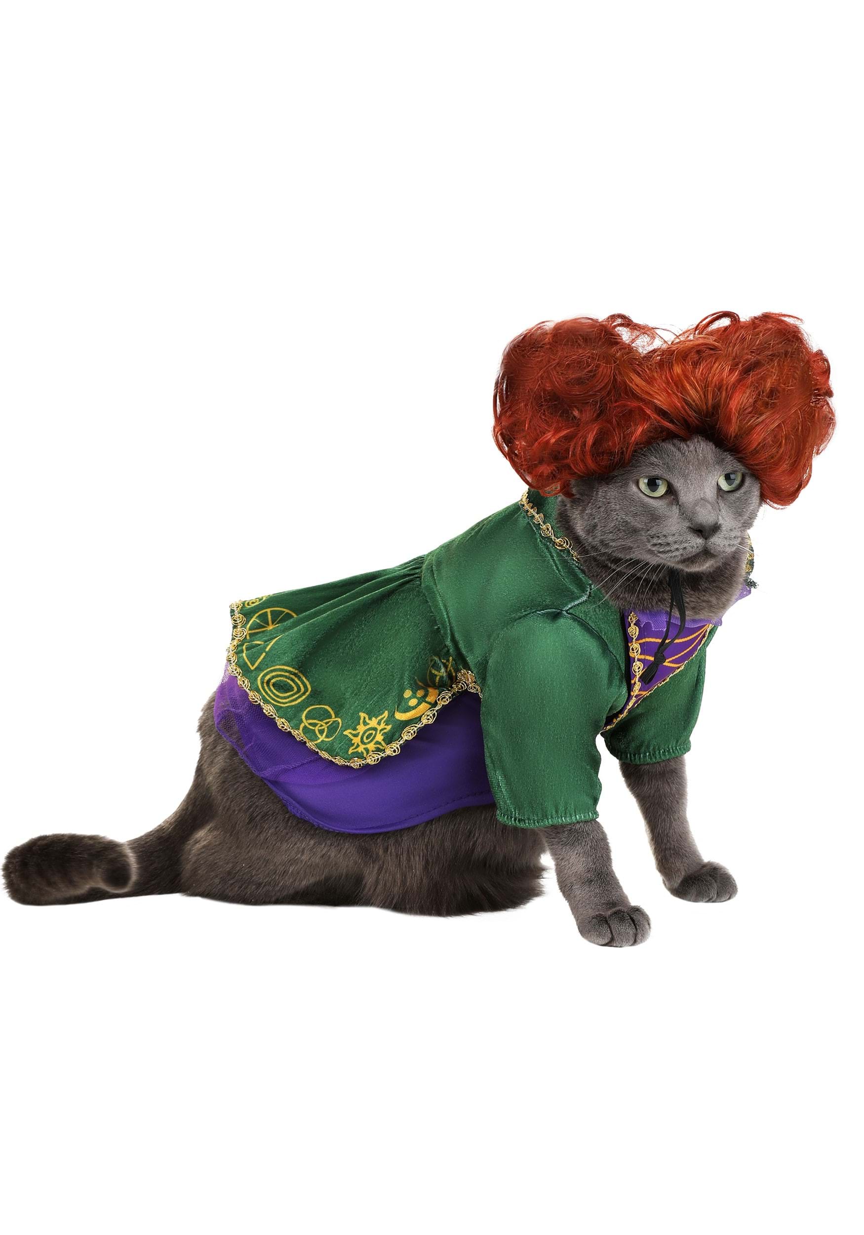 Cat and Dog 'Hocus Pocus' & Witch Costumes and Toys