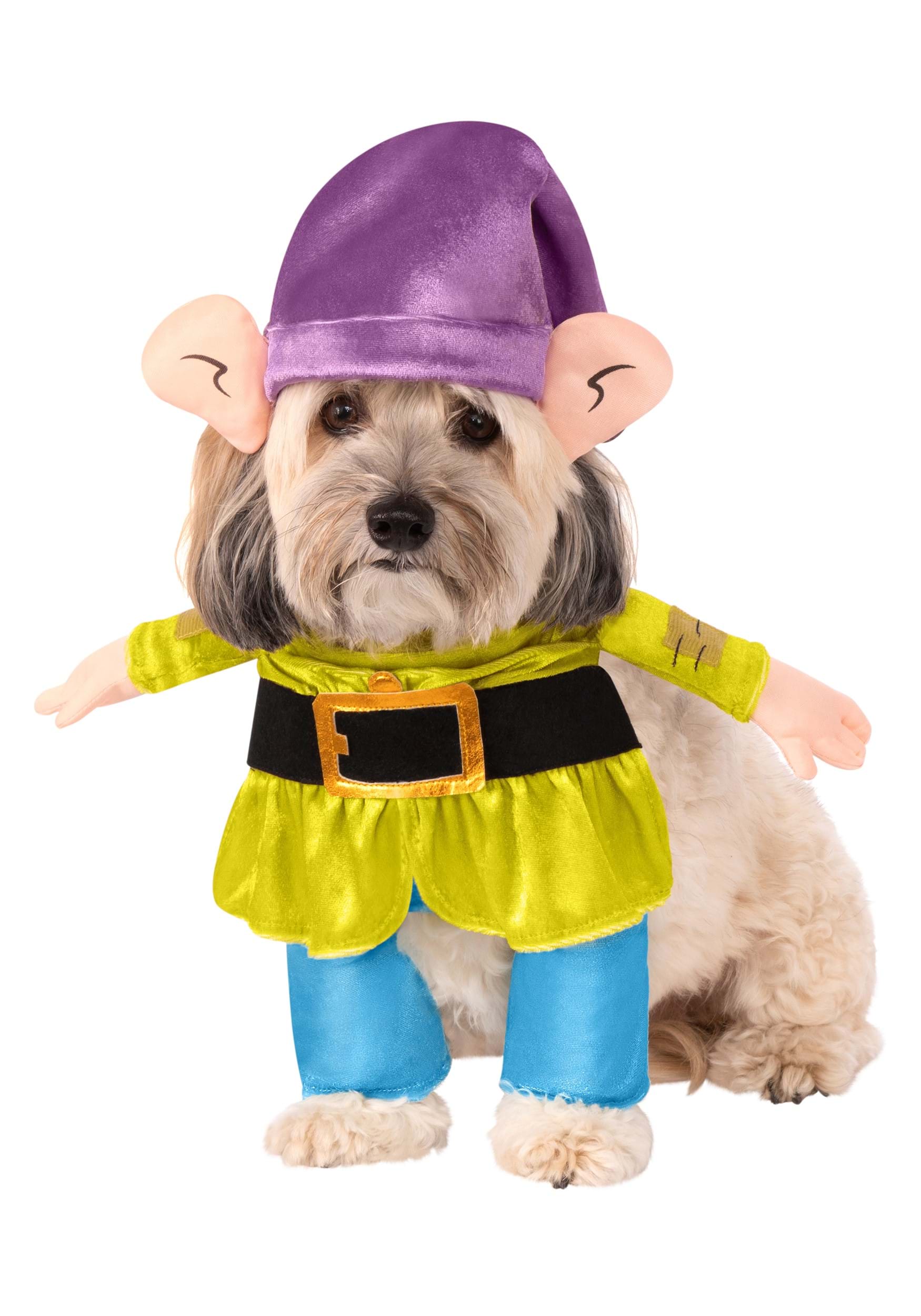 Dog Disney Dopey Costume