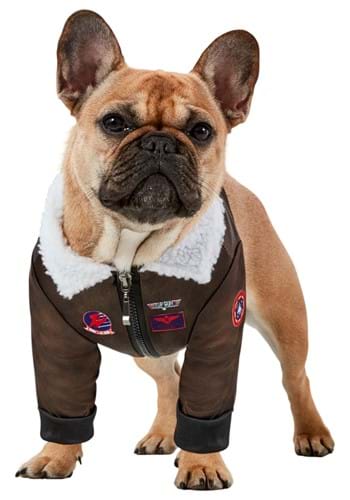 Top Gun Costume for Dogs