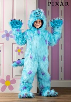 Kids Hooded Monsters Inc Sulley Costume