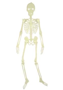 5' Glow in the Dark Skeleton