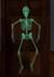 5 Foot Glow in the Dark Skeleton Decoration Alt 2