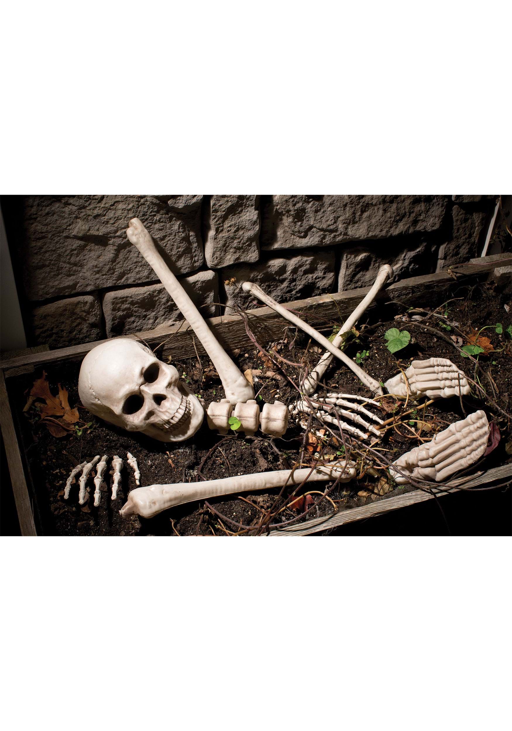 Bag O\' Bones Halloween Decorations