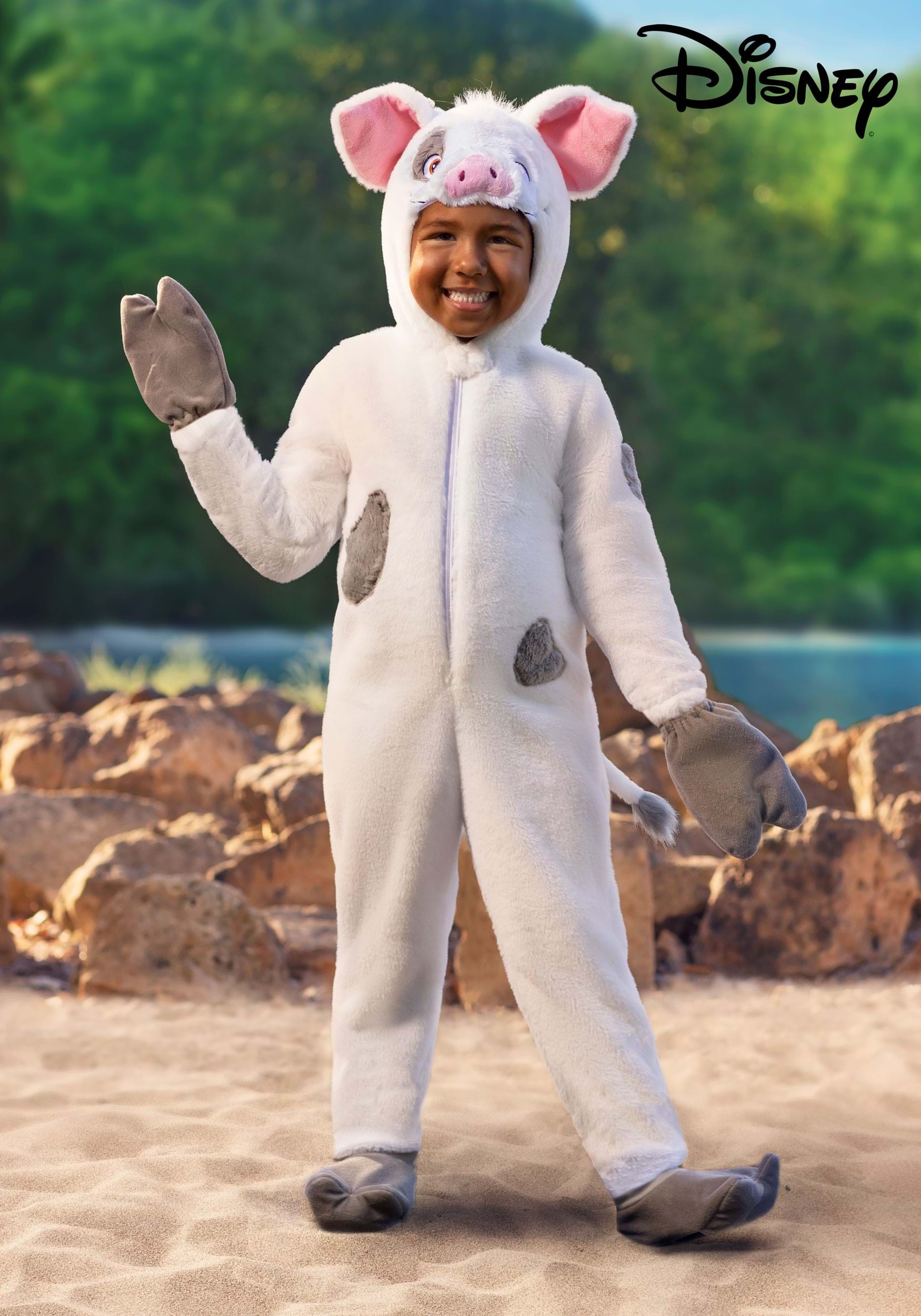 Toddler Moana Pua Costume