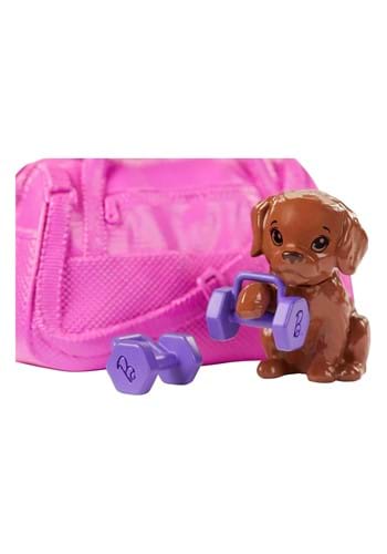 barbie fitness amazon