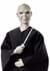 Harry Potter Lord Voldemort and Harry Potter 2-Pack Alt 4