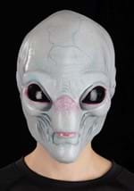 Visitor Mask Alt 1